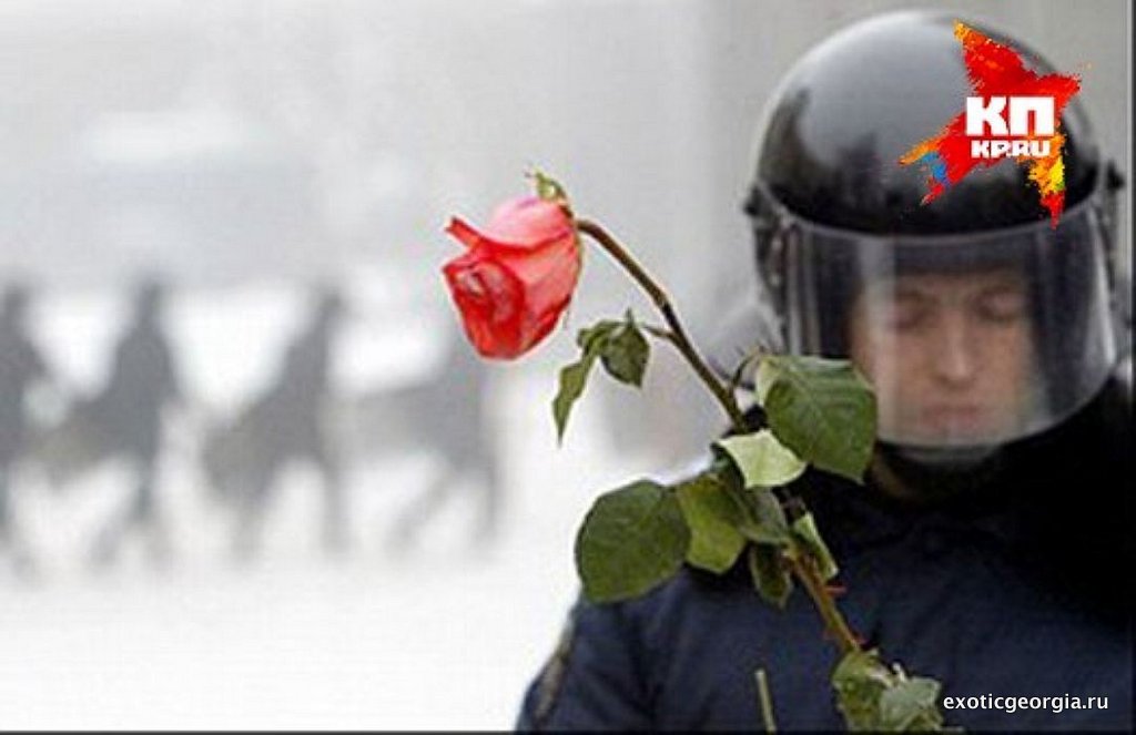 Революция роз в Грузии