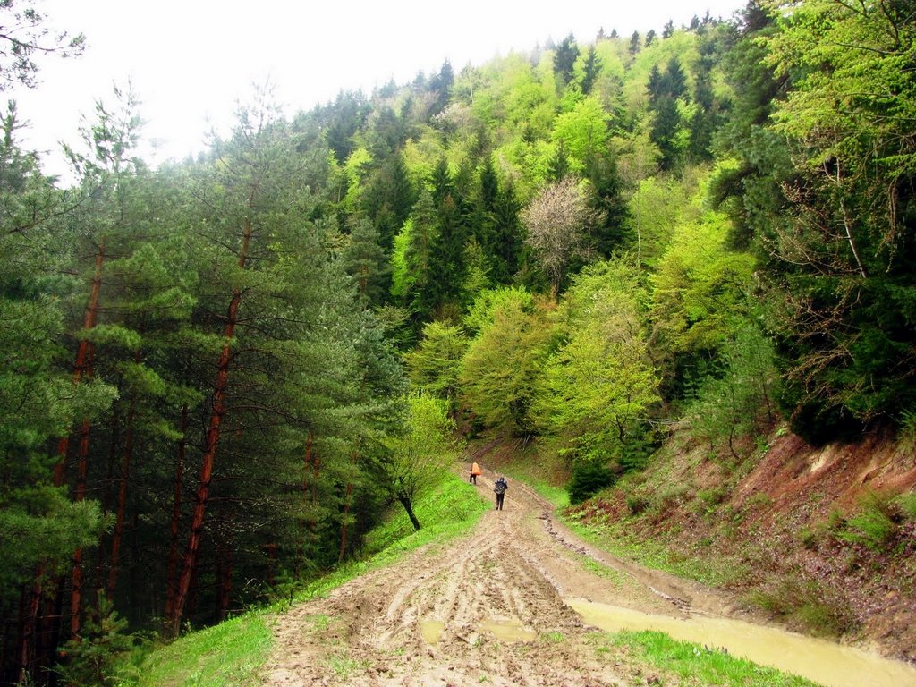 Боржомский заповедник