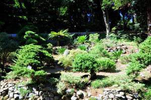 Батумский Ботанический Сад