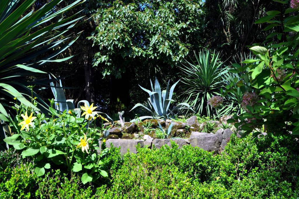 Батумский Ботанический Сад